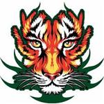 Tiger Pride! Tiger Pride!